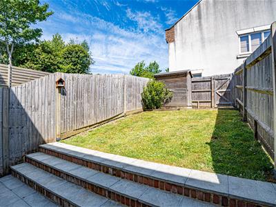 Picture 24